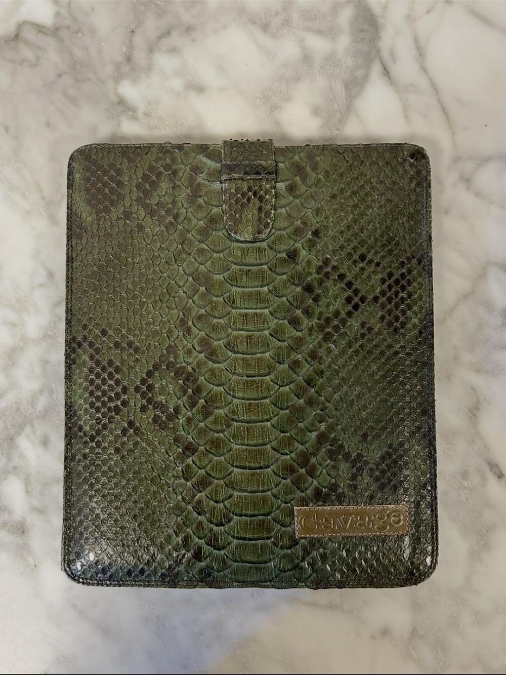 Snakeskin Tablet/iPad Case • Cavage